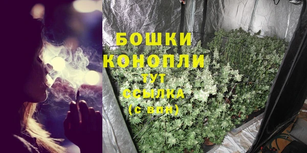 молекула духа Магас