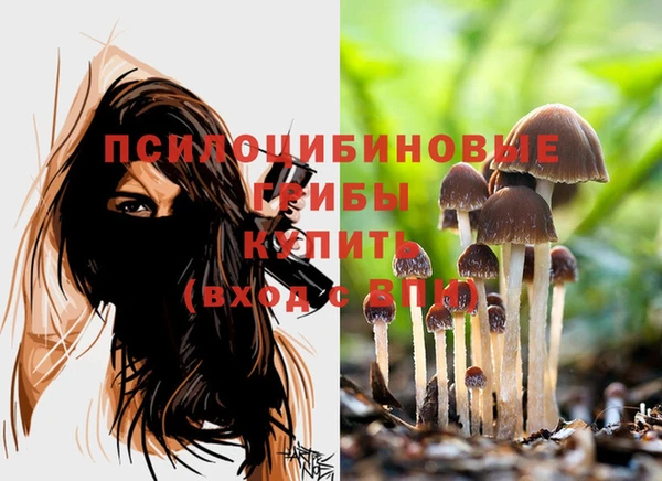 шишки Магадан