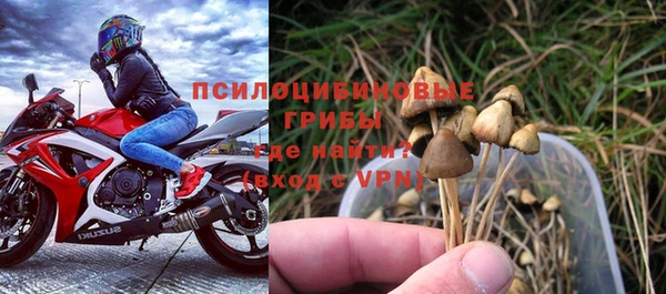 молекула духа Магас