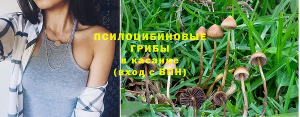 молекула духа Магас