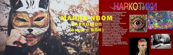 шишки Магадан