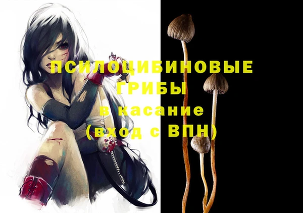 шишки Магадан