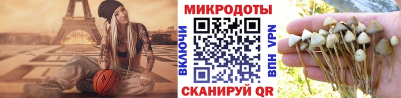 Купить где  Семикаракорск  Псилоцибиновые грибы Psilocybine cubensis 