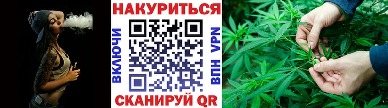Купить где  Семикаракорск  Конопля планчик 